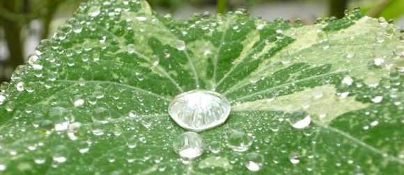 Wasser ist Zukunft