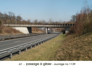 passage_gibier1